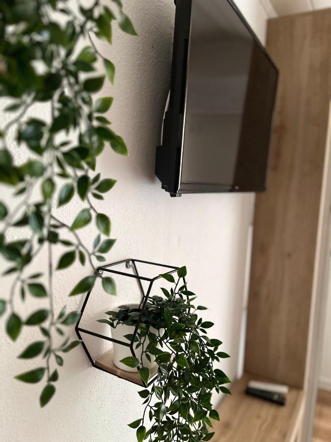 Apartment Bagaric Stari Grad  Esterno foto